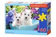 Opakowanie Puzzle 60 Westie Puppies CASTOR