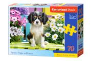 Opakowanie Puzzle 70 Spaniel in flowers CASTOR