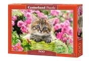Opakowanie Puzzle Kitten In Flower Garden 500