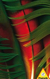 Opakowanie Puzzle Pióra 1000