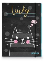 Okładka książki Street Teczka z Gumką My Cat A4 1cm