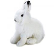 Opakowanie Zając polarny