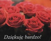Perełka 156 - Dziękuję bardzo!. Autor: Opracowanie zbiorowe. Dadada.pl Okładka książki Perełka 156 - Dziękuję bardzo!