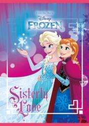 Opakowanie ZESZYT A5 16K LINIA KOLOROWA FROZEN 51205