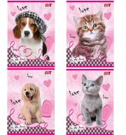 Opakowanie ZESZYT A5 16K MY LITTLE FRIEND KRATKA 32844