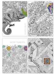 Opakowanie Zeszyty Dan-Mark secret garden LAMINOWANY A5 linia 32 (1091)