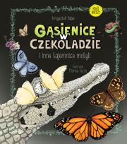 GĄSIENICE W CZEKOLADZIE I INNE TAJEMNICE MOTYLI. Autor: Krzysztof Pabis. Dadada.pl Okładka książki GĄSIENICE W CZEKOLADZIE I INNE TAJEMNICE MOTYLI