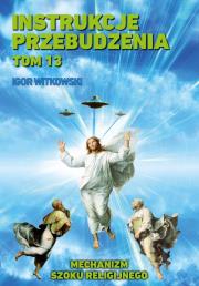 Instrukcje przebudzenia tom 13. Autor: Igor Witkowski. Dadada.pl Okładka książki Instrukcje przebudzenia tom 13