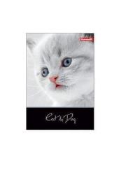 Opakowanie Kołozeszyt A5/120K kratka 1068 Cat&Dog