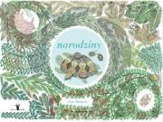 NARODZINY. Autor: Bestard Aina, Ana Gallo, PABLO ACOSTA. Dadada.pl Okładka książki NARODZINY