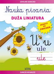 Nauka pisania. Duża liniatura. Zeszyt do ćwiczeń. Autor: Guzowska Beata. Dadada.pl Okładka książki Nauka pisania. Duża liniatura. Zeszyt do ćwiczeń