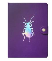 Opakowanie Notes A5/80K Chrabąszcz