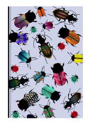 Opakowanie Notes Narcissus Gee Bugs