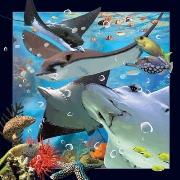 Pocztówka 3D Płaszczka. Wydawca: Worth Keeping. Dadada.pl Opakowanie Pocztówka 3D Płaszczka