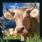 Pocztówka 3D Szwajcarska krowa. Wydawca: Worth Keeping. Dadada.pl Opakowanie Pocztówka 3D Szwajcarska krowa