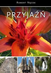 PRZYJAŹŃ WYD. 3. Autor: Robert Nęcek. Dadada.pl Okładka książki PRZYJAŹŃ WYD. 3