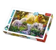 Opakowanie Puzzle Sekretny ogród 100