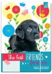 Opakowanie Teczka A4 z gumką Best Friends
