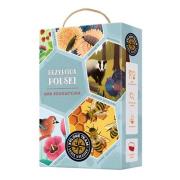 Xplore Team Gra Edukacyjna Przyroda Polski 11+. Wydawca: Bright Junior Media. Dadada.pl Opakowanie Xplore Team Gra Edukacyjna Przyroda Polski 11+