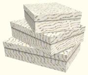 Opakowanie Zestaw pudełek ozdobnych Musica (3 sztuki)