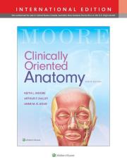Clinically Oriented Anatomy 8e. Autor: Moore Keith L., Dalley II Arthur F., Agur Anne M.R.. Dadada.pl Okładka książki Clinically Oriented Anatomy 8e