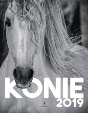 Opakowanie Kalendarz zdzierak Artsezon KALENDARZ