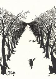 Opakowanie Karnet B6 z kopertą The Cat that walked by himself