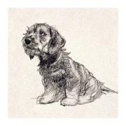 Opakowanie Karnet kwadrat z kopertą Puppy Love