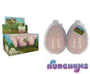 Opakowanie KC Wykluwający się Krokodyl