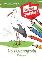 Okładka książki Kolorowanka. Polska przyroda- zwierzęta