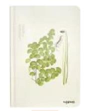 Opakowanie Notes A5/96K Miłorząb Duży