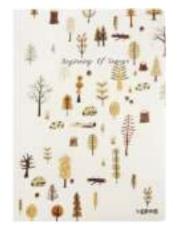 Opakowanie Szkicownik B5/100K Drzewa Pomarańczowe