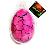 Opakowanie Wykluwający się Stegozaur