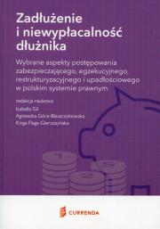 Opakowanie Zadłużenie i niewypłacalność dłużnika