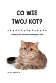 Co wie Twój kot. Autor: Sally Morgan. Dadada.pl Okładka książki Co wie Twój kot