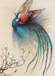 Karnet B6 z kopertą The Fire Bird. Wydawca: Museums & Galleries. Dadada.pl Opakowanie Karnet B6 z kopertą The Fire Bird