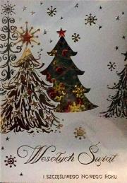 Karnet Boże Narodzenie B6 Premium 22 + koperta. Wydawca: Panorama. Dadada.pl Opakowanie Karnet Boże Narodzenie B6 Premium 22 + koperta