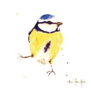 Opakowanie Karnet kwadrat mały z kopertą Blue Tit