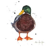 Karnet kwadrat mały z kopertą Mallard Chap. Wydawca: Museums & Galleries. Dadada.pl Opakowanie Karnet kwadrat mały z kopertą Mallard Chap