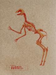 Opakowanie Notes Magnus Rostelli