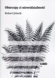 Okładka książki Obiecuję ci niewidzialność