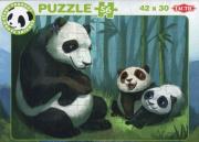 Opakowanie Panda Stars Puzzle C 56