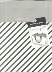 Opakowanie Pudełko srebrzone XL 1319-1