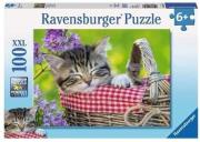 Opakowanie Puzzle 100 XXL Śpiące kociaki