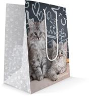 Opakowanie Torba prezentowa Rachel Hale średnia