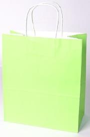 Opakowanie Torebka ekologiczna M zielona 0222-06