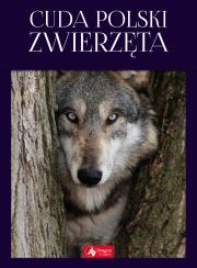 CUDA POLSKI ZWIERZĘTA. Autor: Anna Przybyłowicz. Łukasz Przybyłowicz. Dadada.pl Okładka książki CUDA POLSKI ZWIERZĘTA