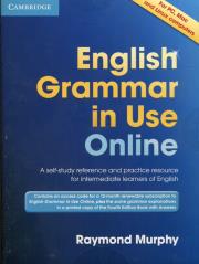 Opakowanie English Grammar in Use Online