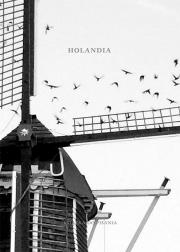 Okładka książki Holandia