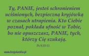 Magnes 35 na lodówkę - Ty, PANIE, jesteś.... Wydawca: Bogulandia. Dadada.pl Opakowanie Magnes 35 na lodówkę - Ty, PANIE, jesteś...